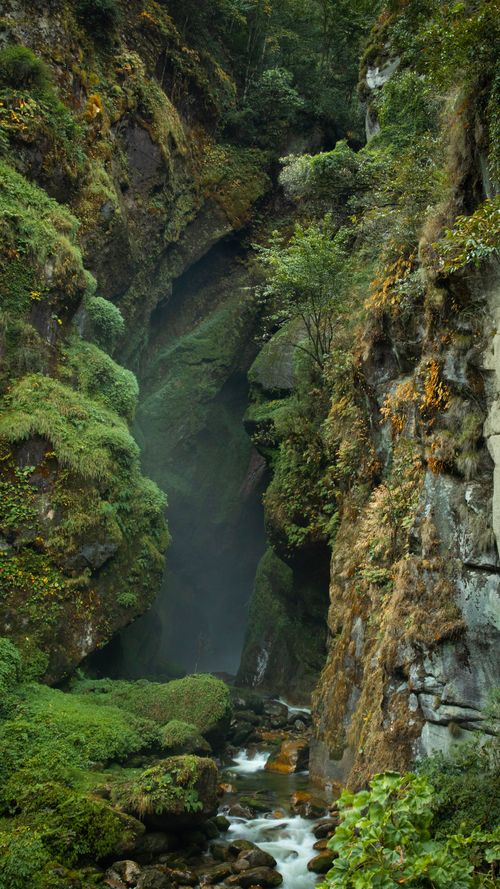 Free A vibrant green gorge with a stream flowing through, showcasing natural beauty and tranquility. Stock Photo