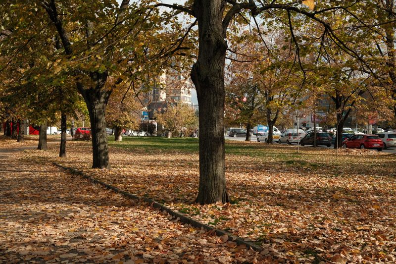 Panfilov Park