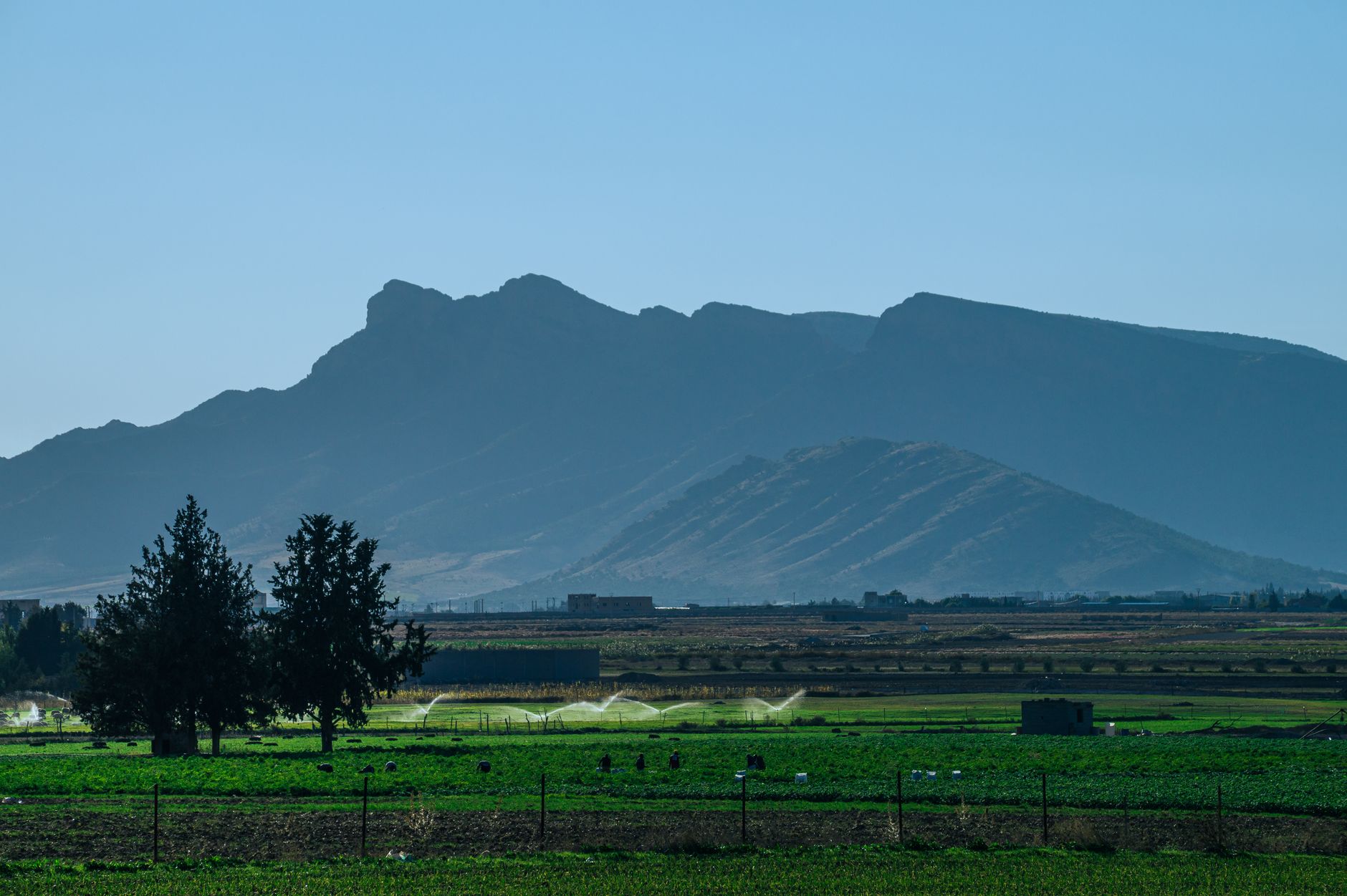 Breathtaking view of verdant fields and mountainous backdrop in Aïn M'lila, Algeria captured under a bright blue sky.