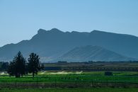 Breathtaking view of verdant fields and mountainous backdrop in Aïn M'lila, Algeria captured under a bright blue sky.