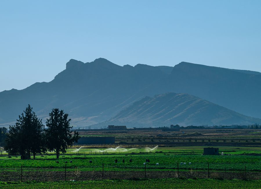Breathtaking view of verdant fields and mountainous backdrop in Aïn M'lila, Algeria captured under a bright blue sky.