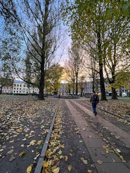 Enchanting autumn park scene with fallen leaves and sunset glow.