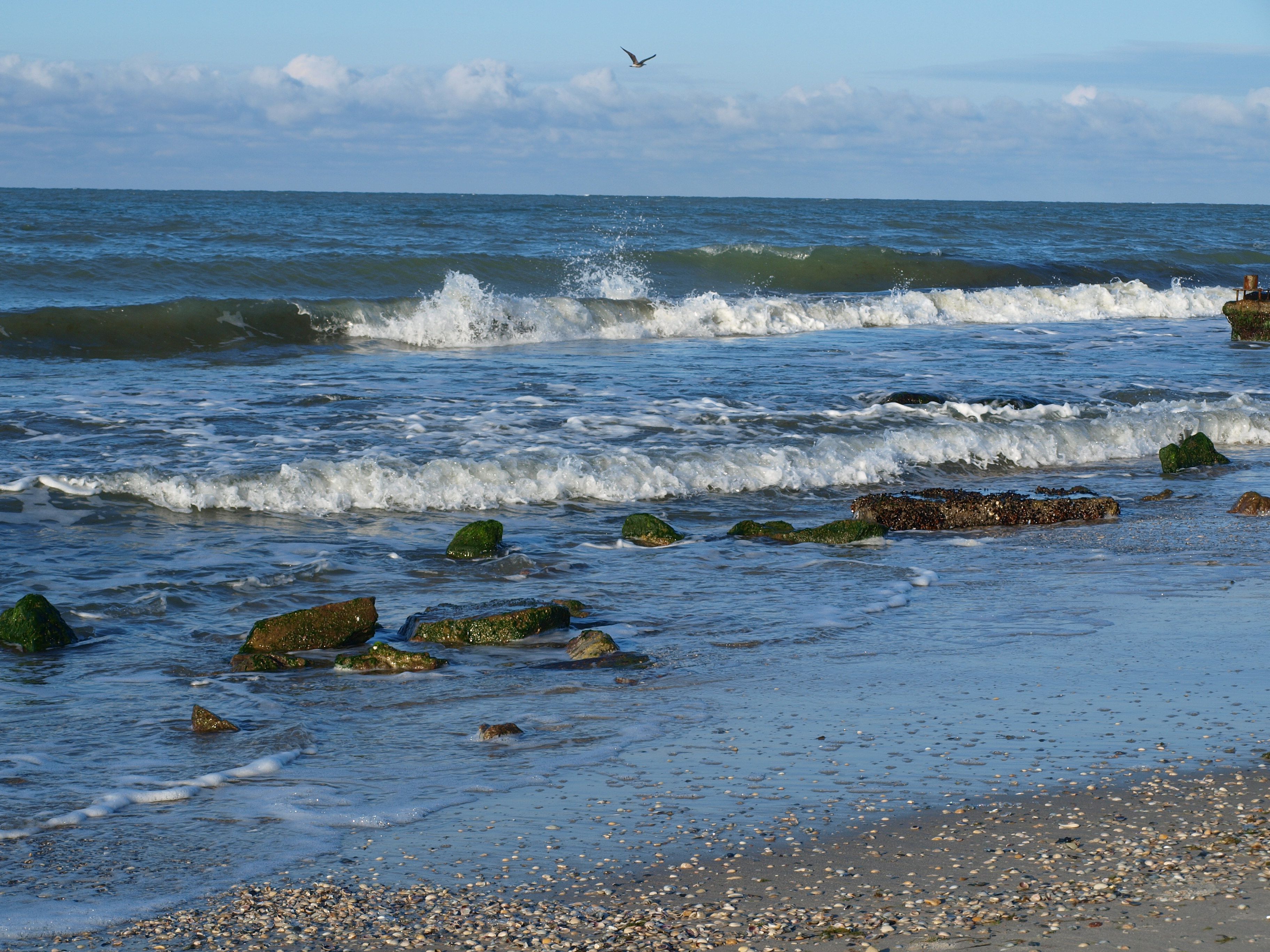 Serene Ocean Waves Crashing on Rocky Shoreline · Free Stock Photo