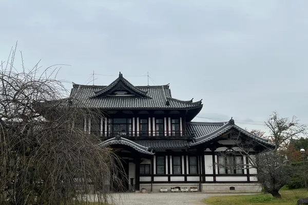 Parc de Nara et ses daims