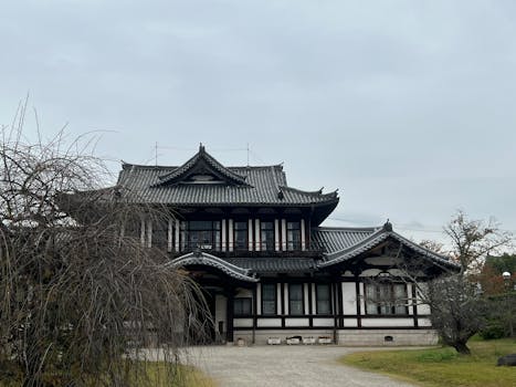 Nara, Japan photo 4