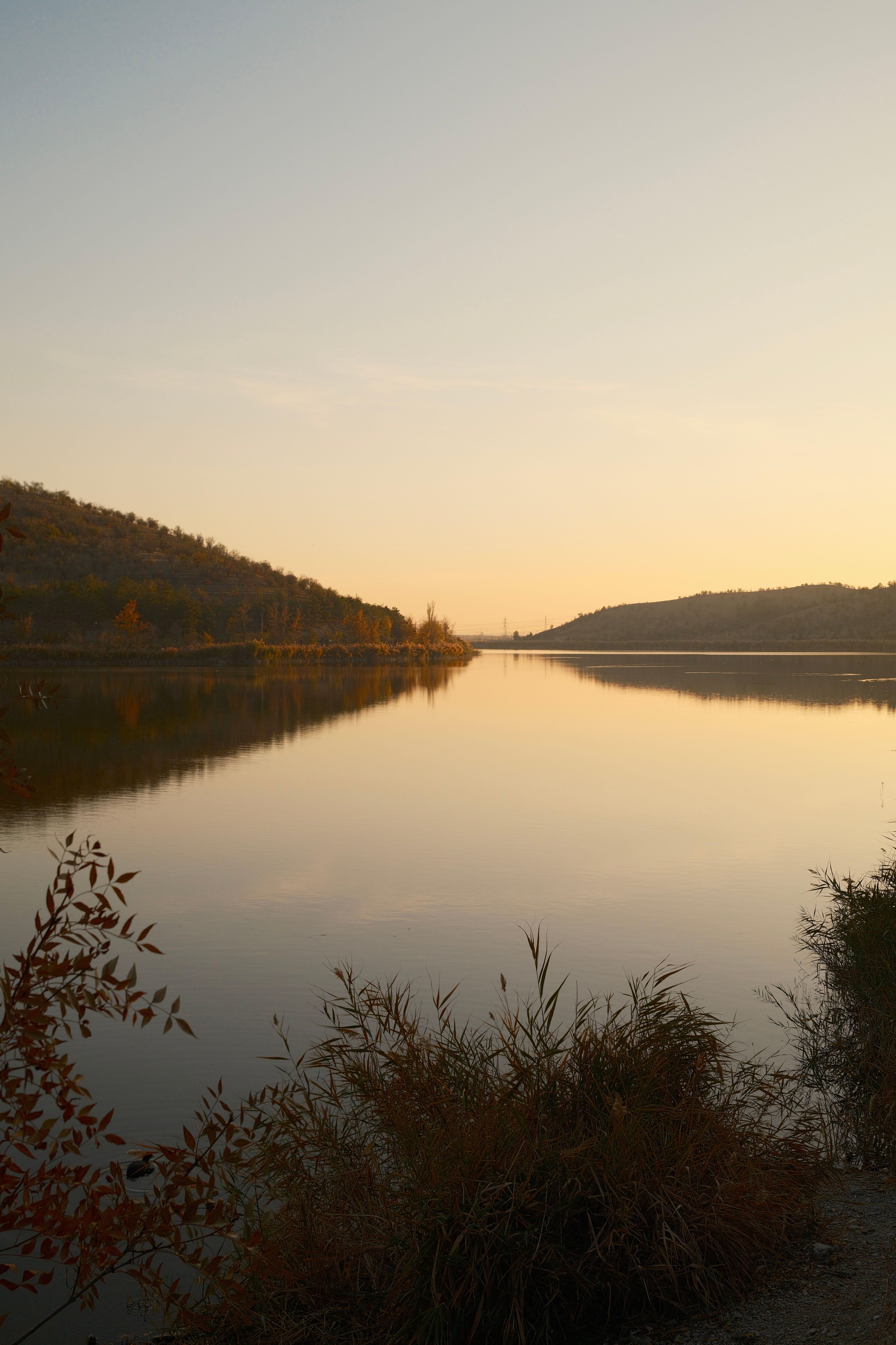 Peaceful lake view with golden sunset reflections creating a tranquil autumn scene.