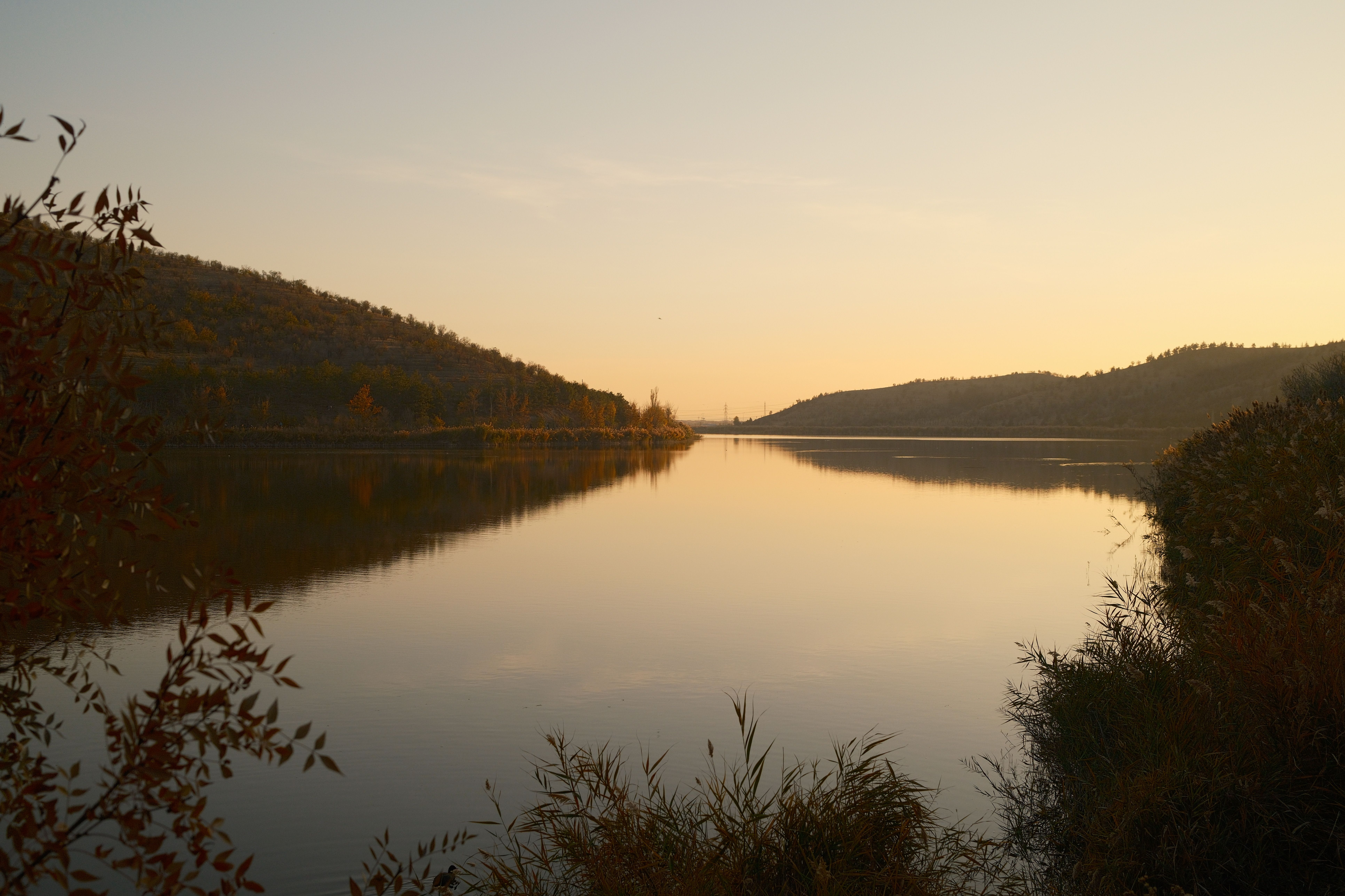 Serene Lakeside Sunset with Reflective Waters · Free Stock Photo