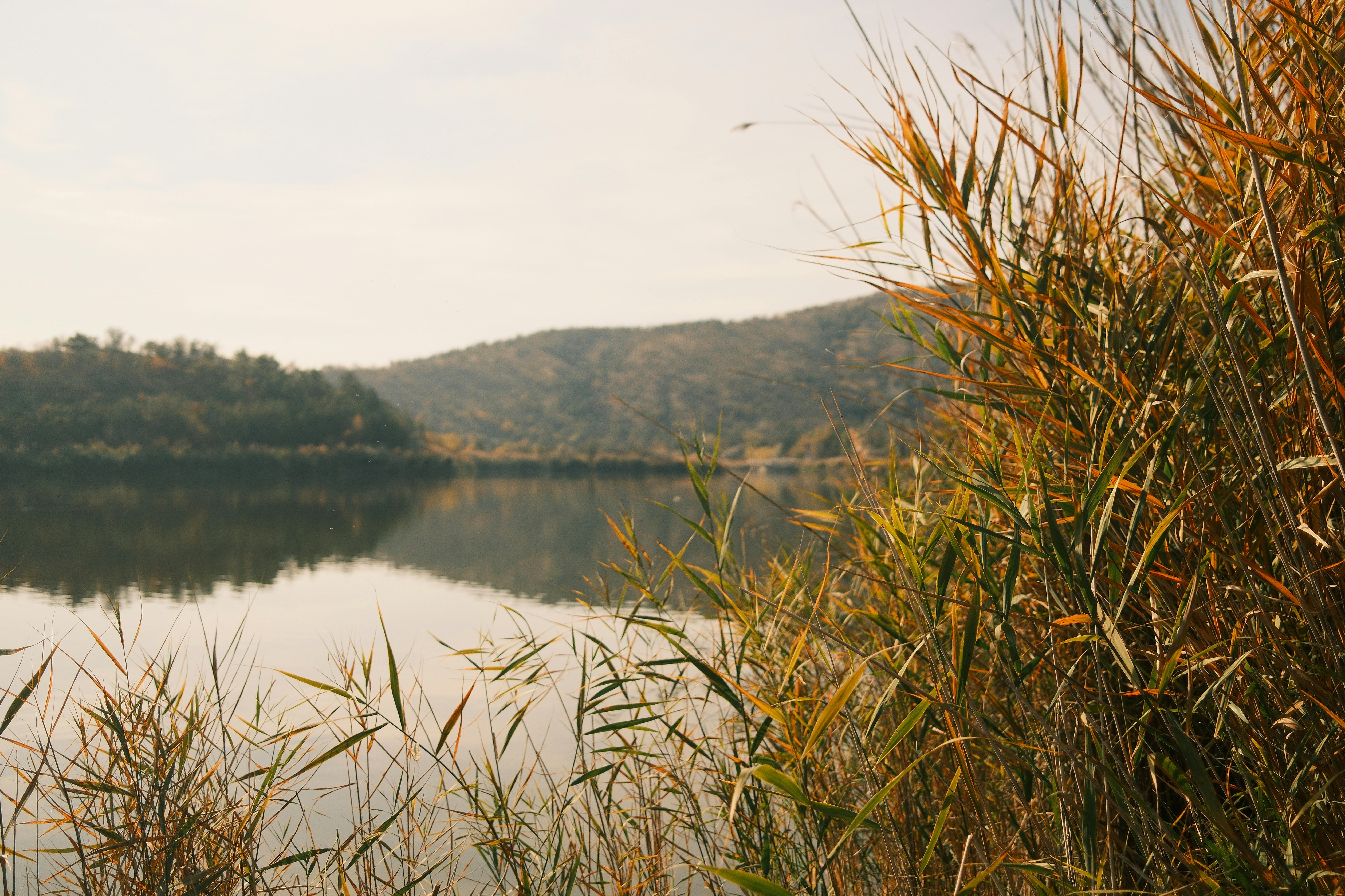 Serene Escapes: Discover Tranquil Havens for Ultimate Relaxation