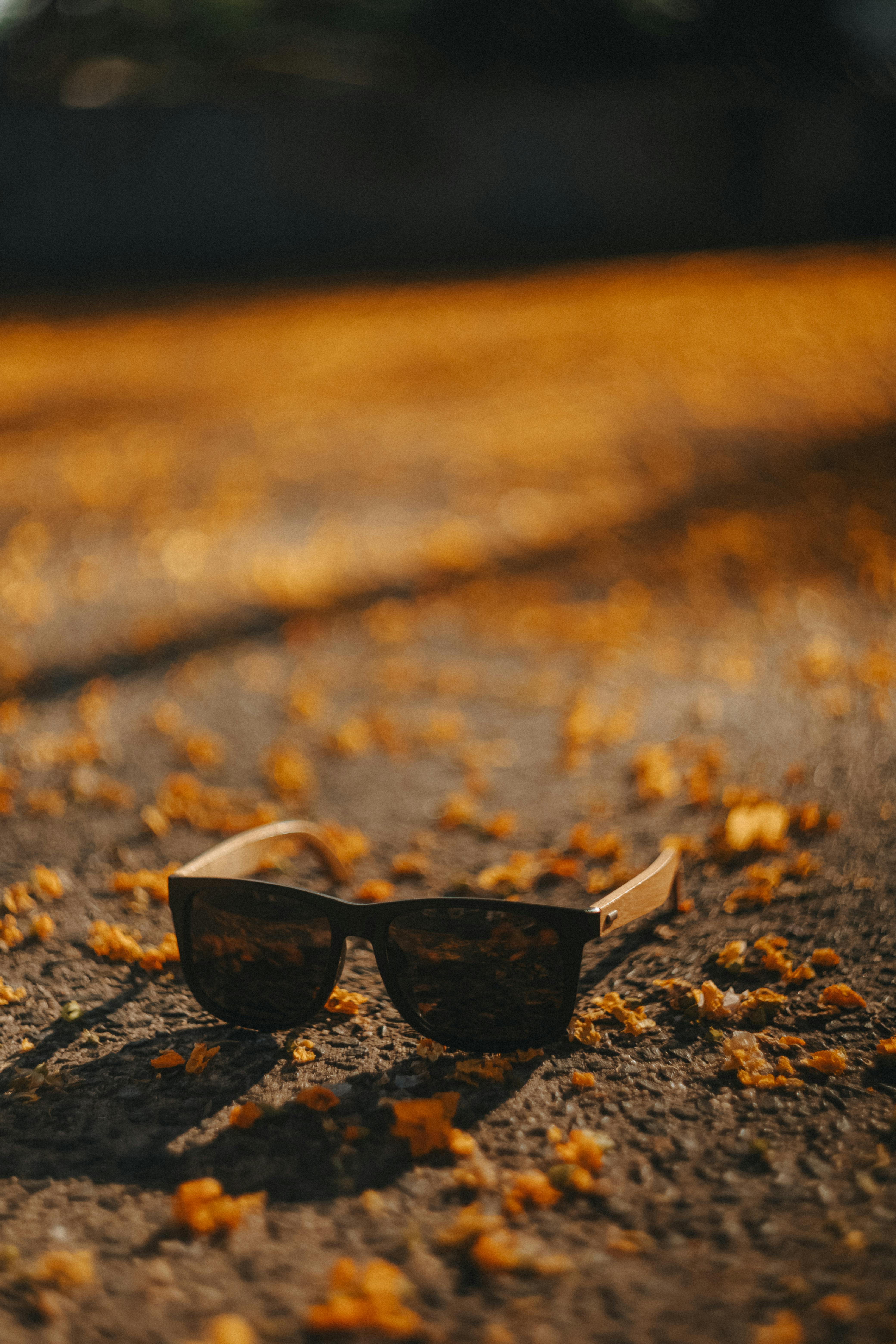 Gratis Eleganti occhiali da sole poggiano su un terreno ricoperto di vivaci foglie autunnali. Foto a disposizione