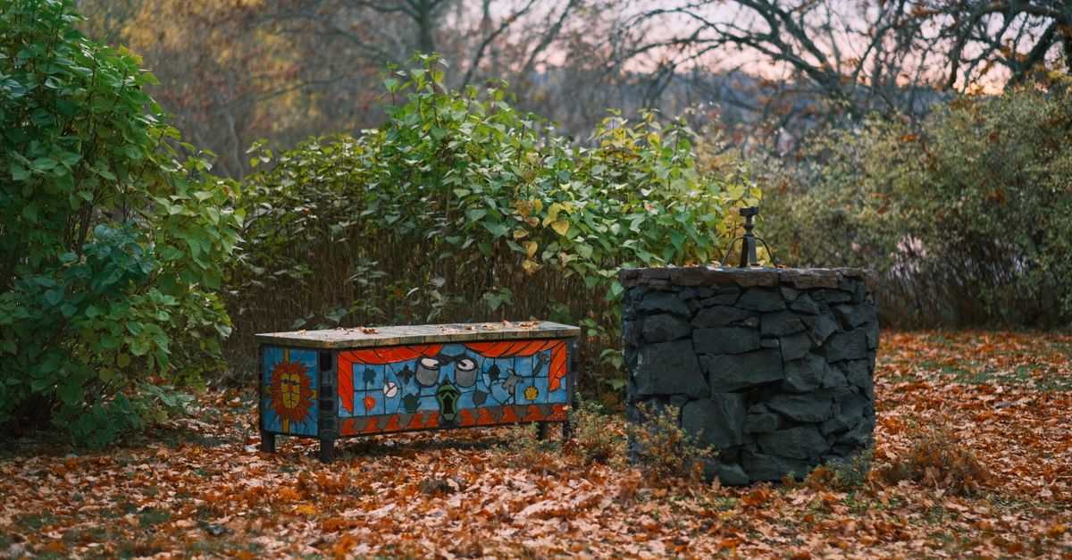 7 Conseils Pratiques pour Entretenir votre Jardin en Automne