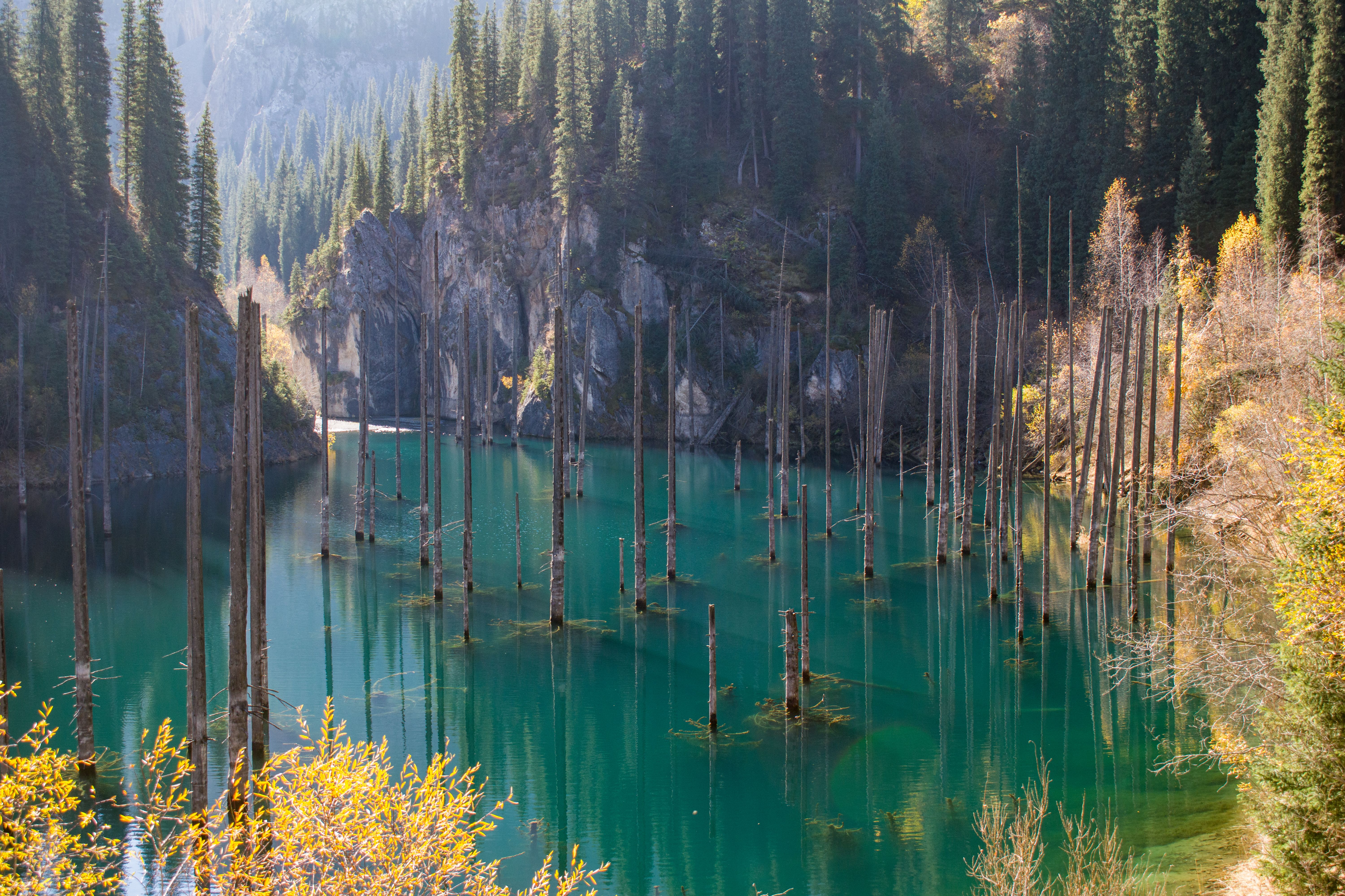 scenic-view-of-lake-kaindy-in-almaty-region-kazakhstan-free-stock-photo