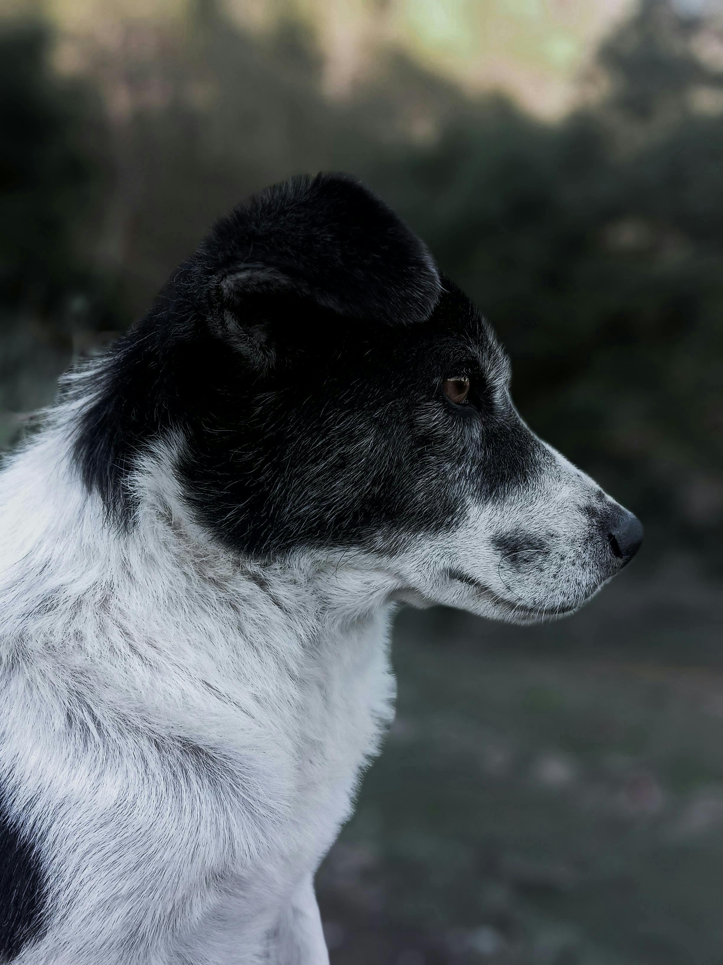 Effizientes Backlink-Monitoring: So Steigern Sie Ihre Sichtbarkeit! 5 Backlink-Analyse leicht gemacht: Schritt-für-Schritt-Anleitung für Anfänger