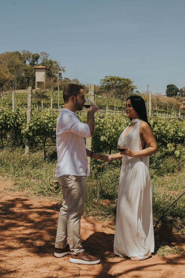 Tour e Degustação em Vinícola