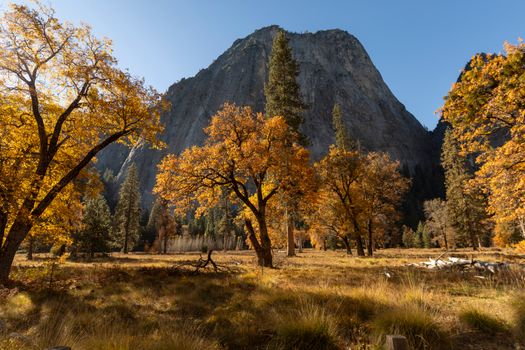 Majestic autumn scenery with vibrant foliage and mountains in Yosemite National Park.