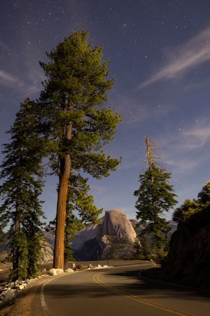 Starry night over Yosemite's Half Dome with winding road and tall pines.