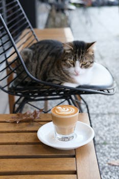 A cozy cappuccino with latte art beside a resting cat in an outdoor café in İstanbul, Türkiye.