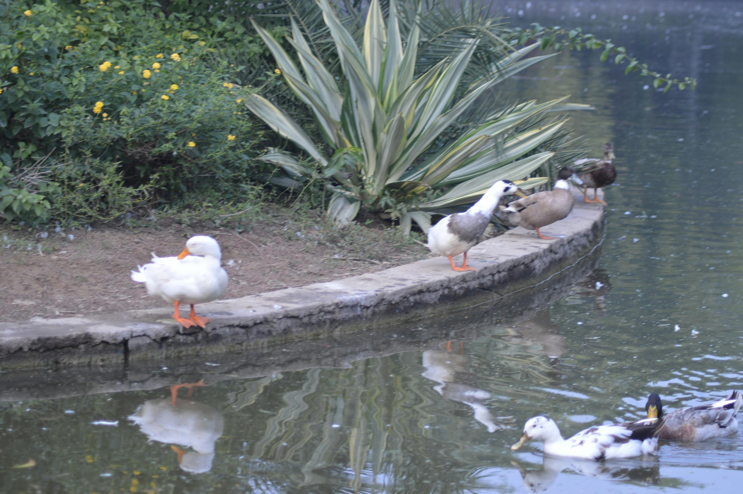 pexels-photo-3463634.jpeg?auto\u003dcomp