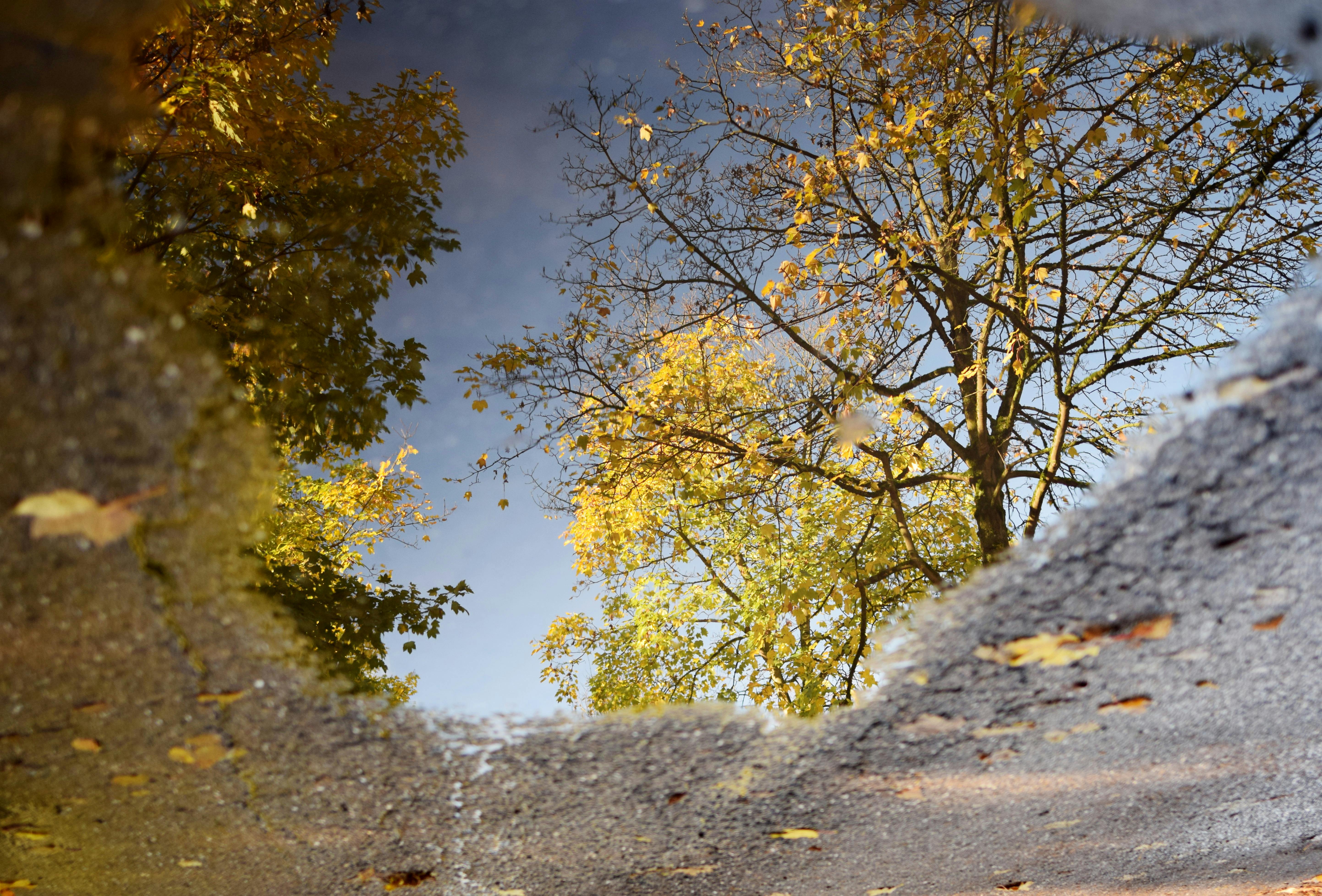 財經：全球央行瘋狂囤金！這國連續12個月持續買進黃金