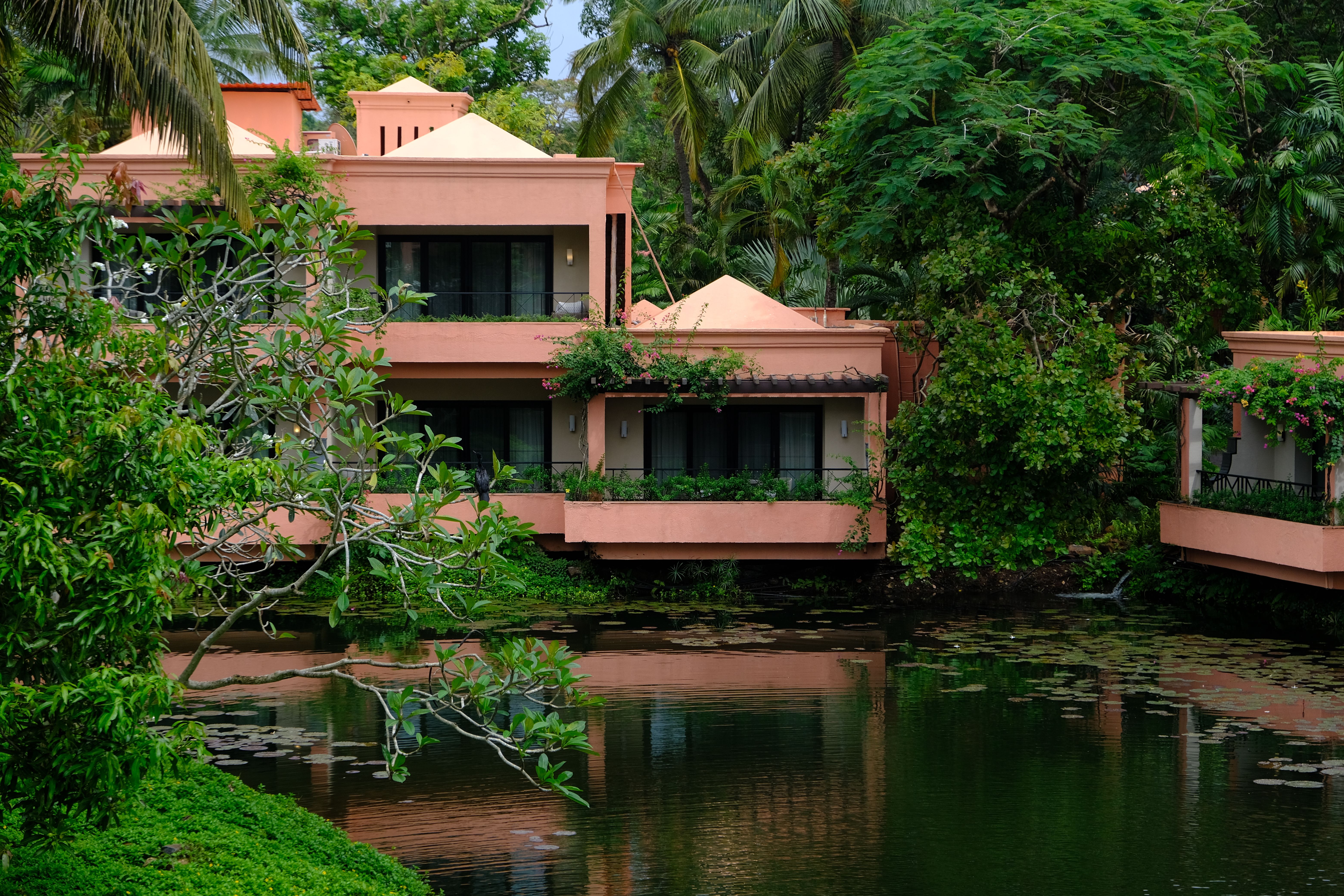 Lush Green Retreat in Goa by Tranquil Waters · Free Stock Photo