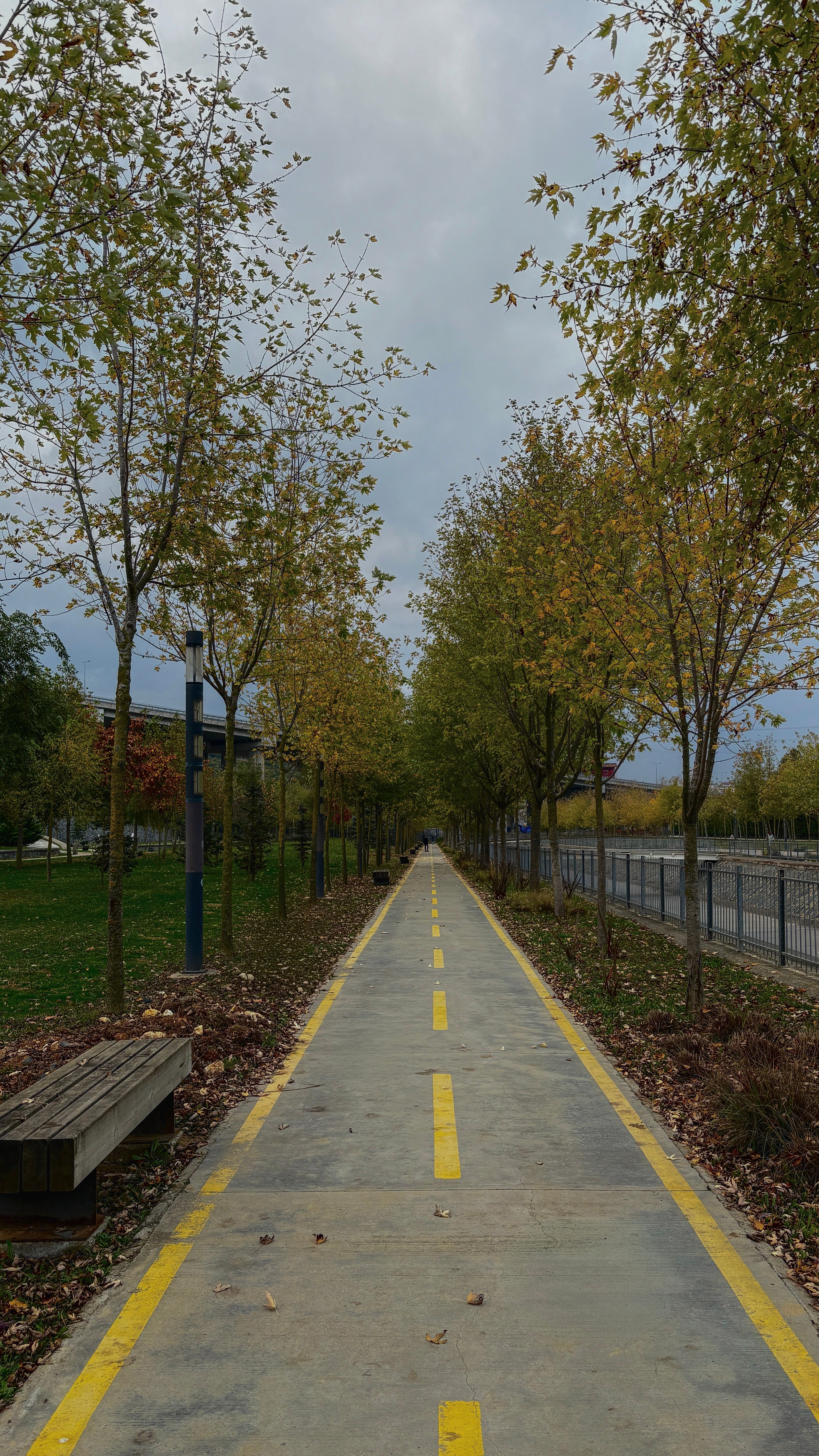Scenic Autumn Bike Path with Foliage · Free Stock Photo