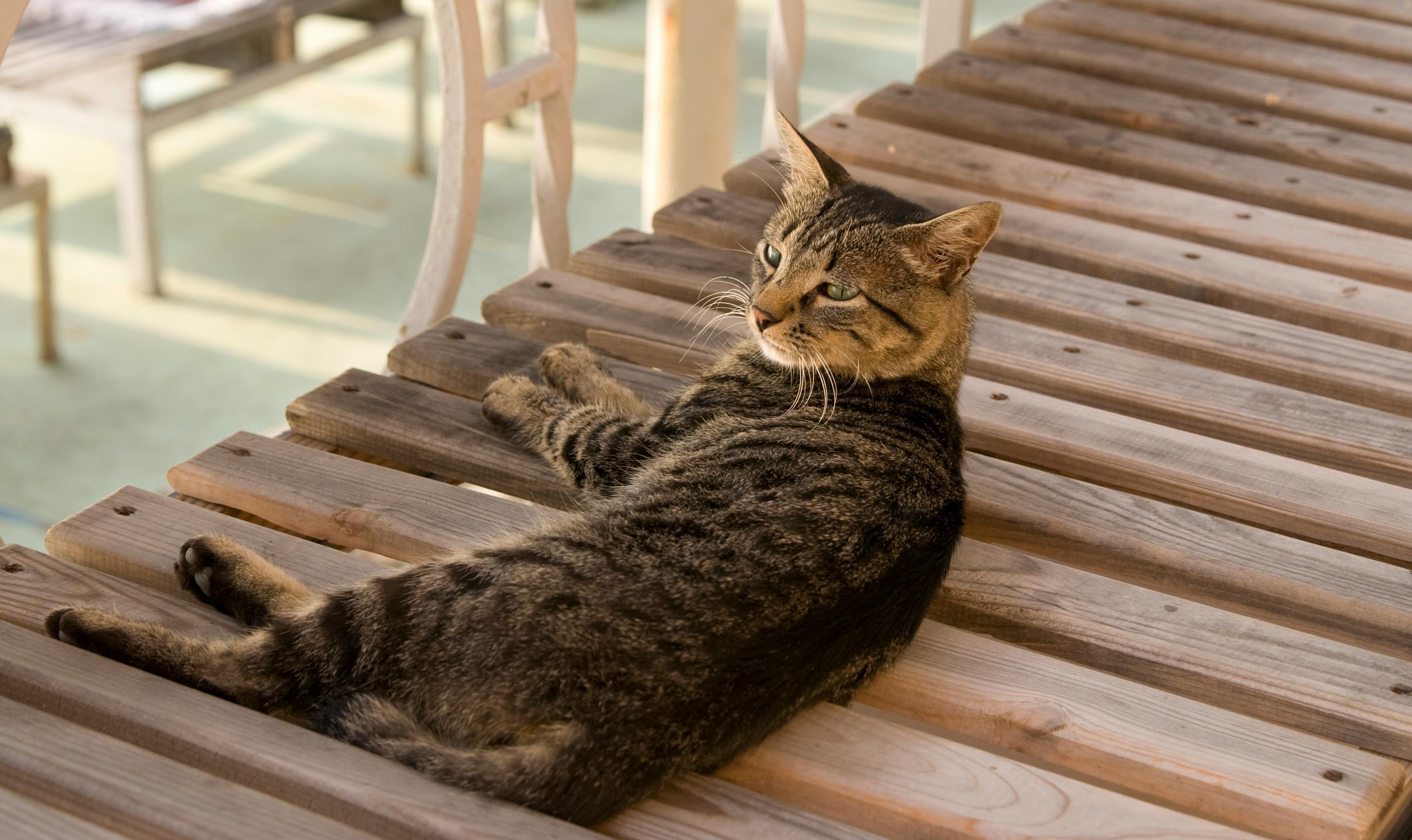 Kooperationen Mit Bloggern: Wie Sie Ihre Reichweite Steigern 1 Die 7 besten Strategien für erfolgreiche Kooperationen mit Bloggern: So steigern Sie Ihre Marke