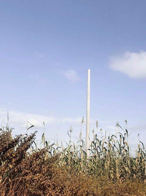 Free clear sky Stock Photo