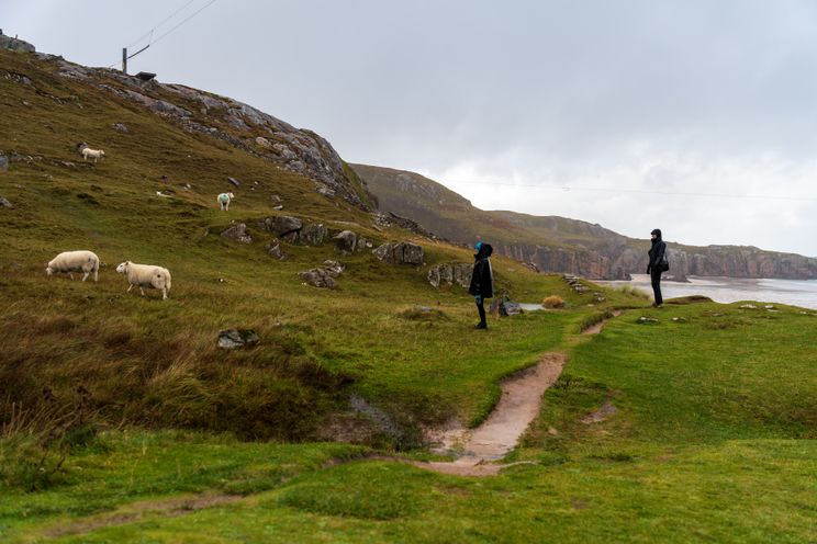 Two friends walking a coastal trail above the sea — photo by Michał Robak on Pexels