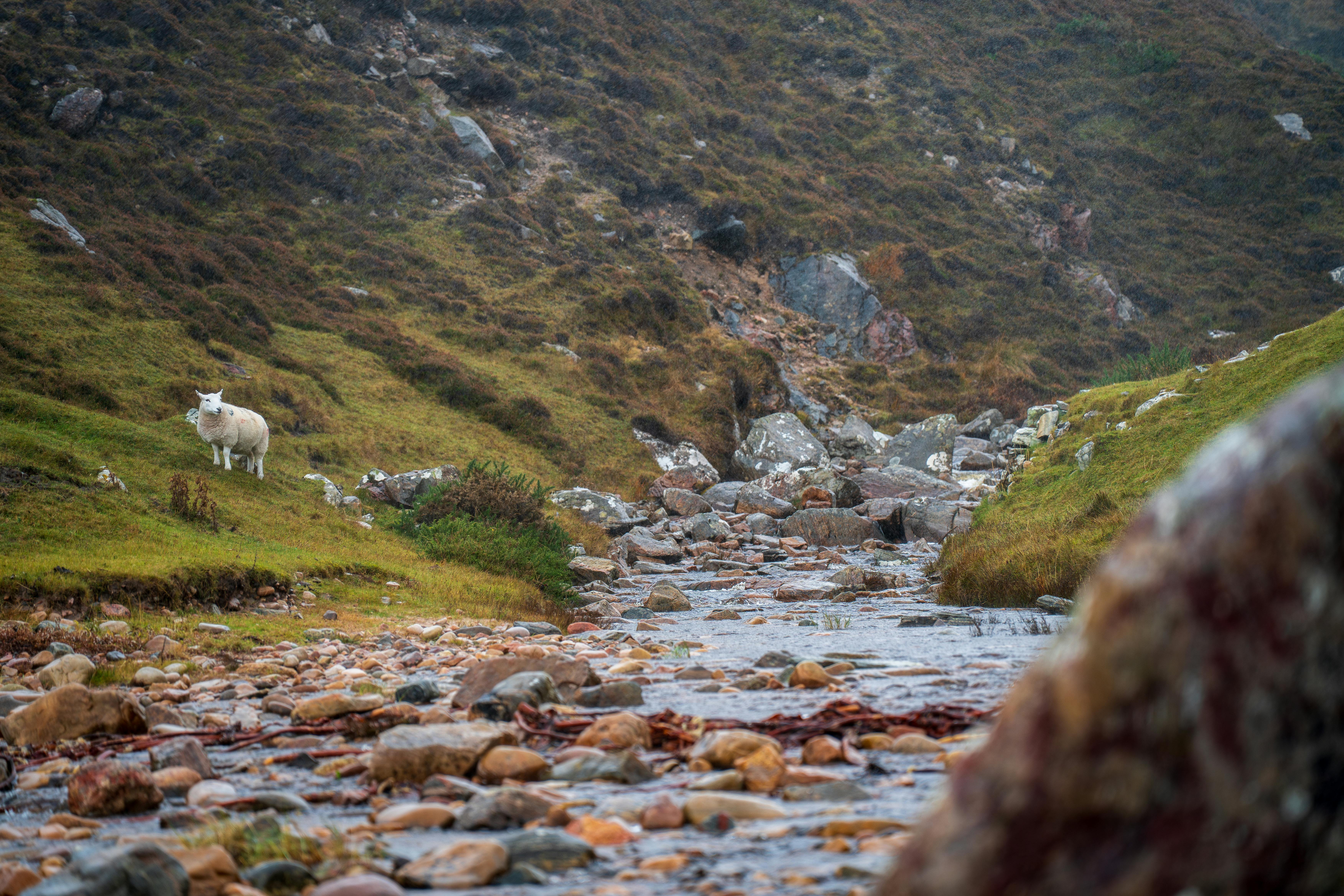福德國小師生國際書展取經 透過閱讀與飲食實踐永續生活