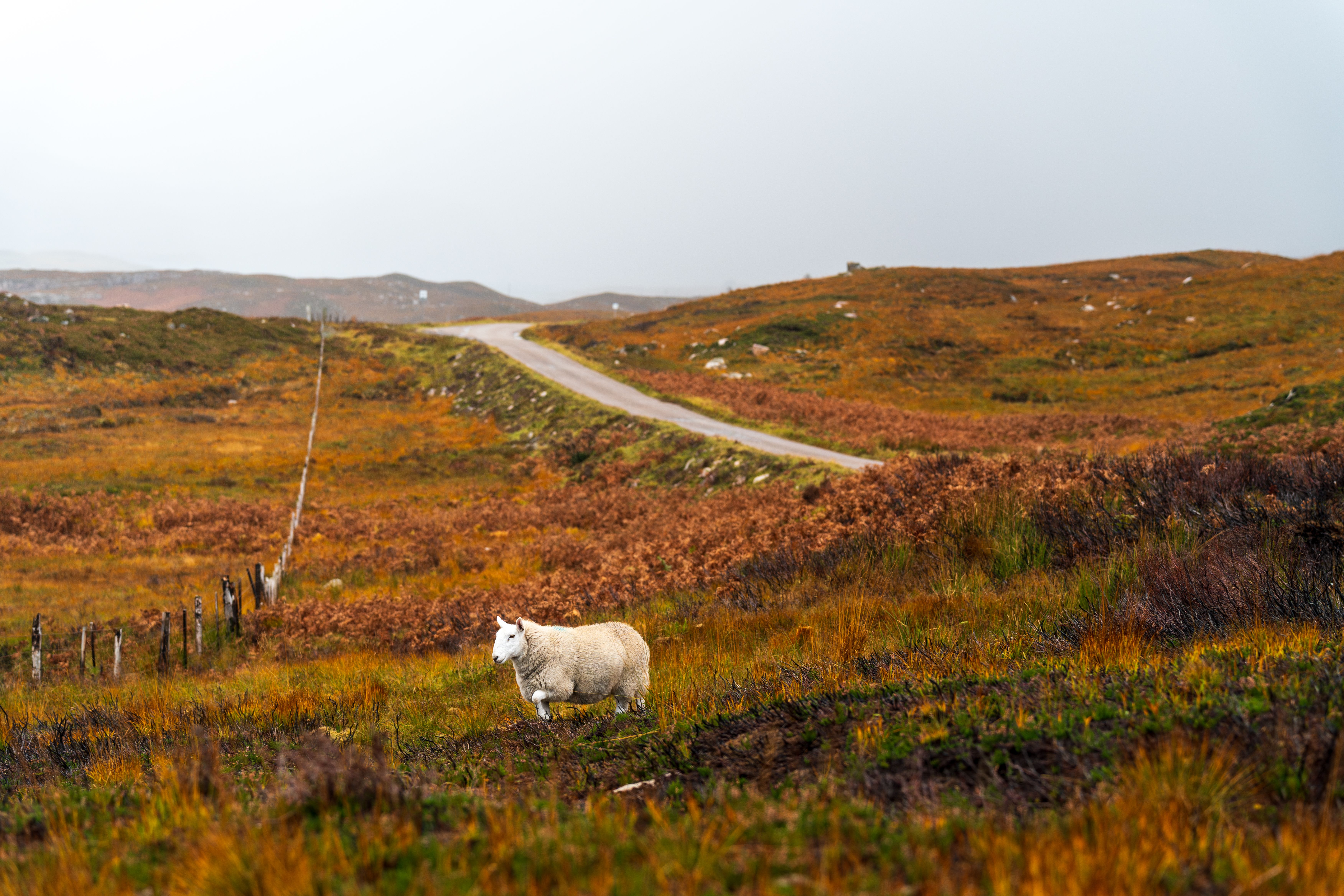 6 Day Sound and Voice Healing Retreat in Scotland 2