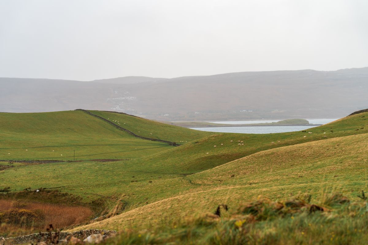 Scenic Countryside Landscape with Rolling Hills · Free Stock Photo