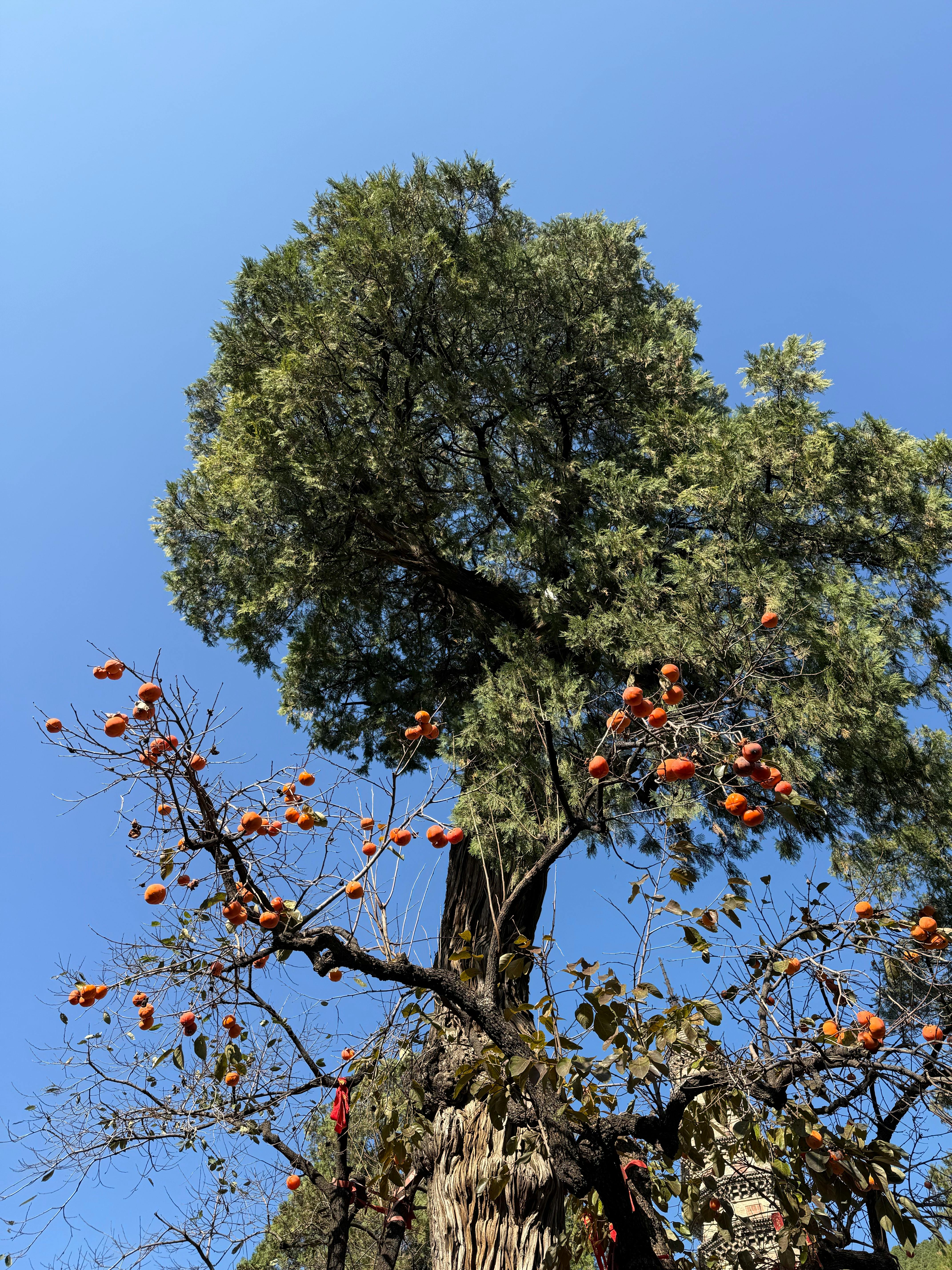 AI로 고객 응대 최적화 전문가가 전하는 최신 트렌드 - 이미지 2