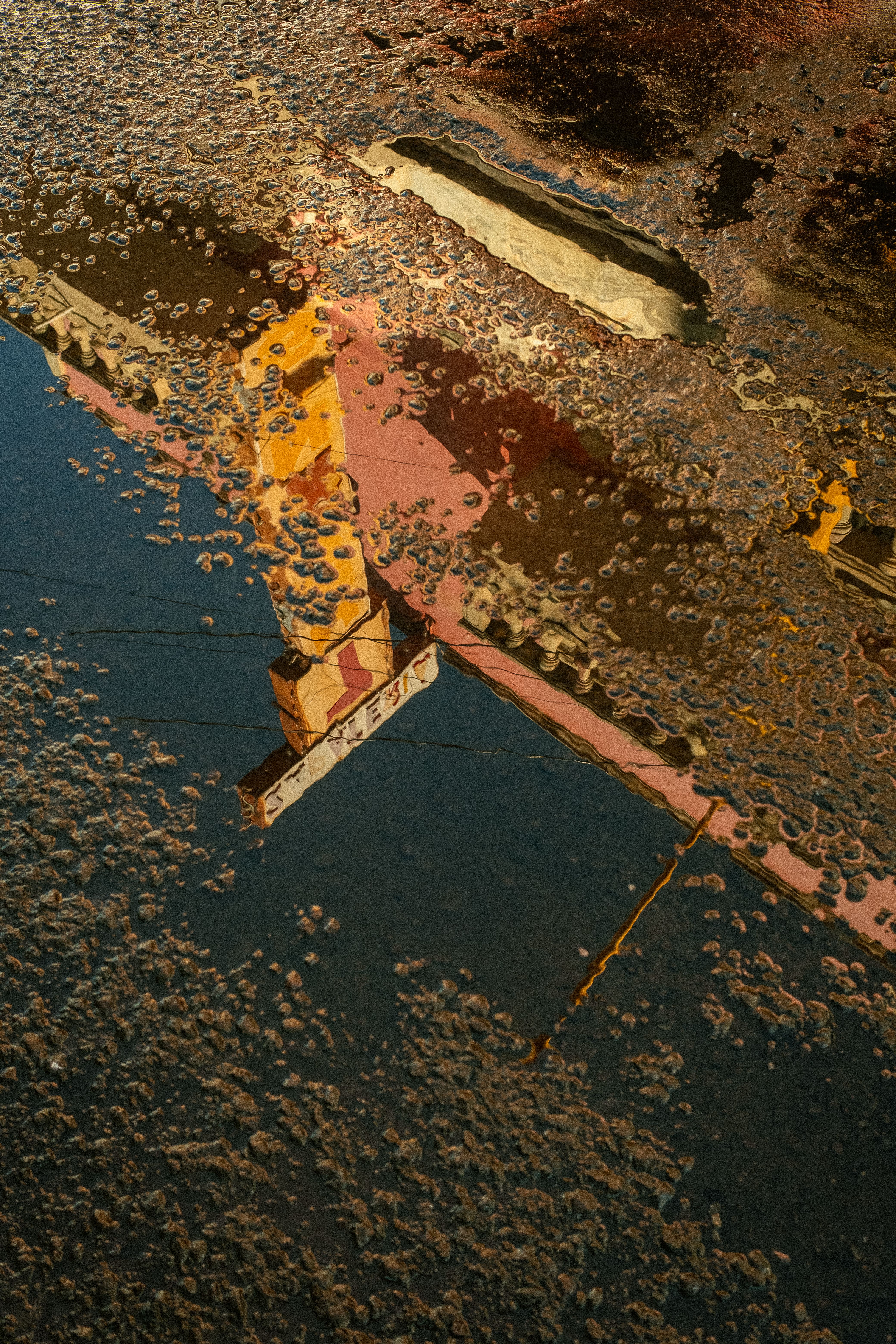 Colorful Building Reflection in Water Puddle · Free Stock Photo
