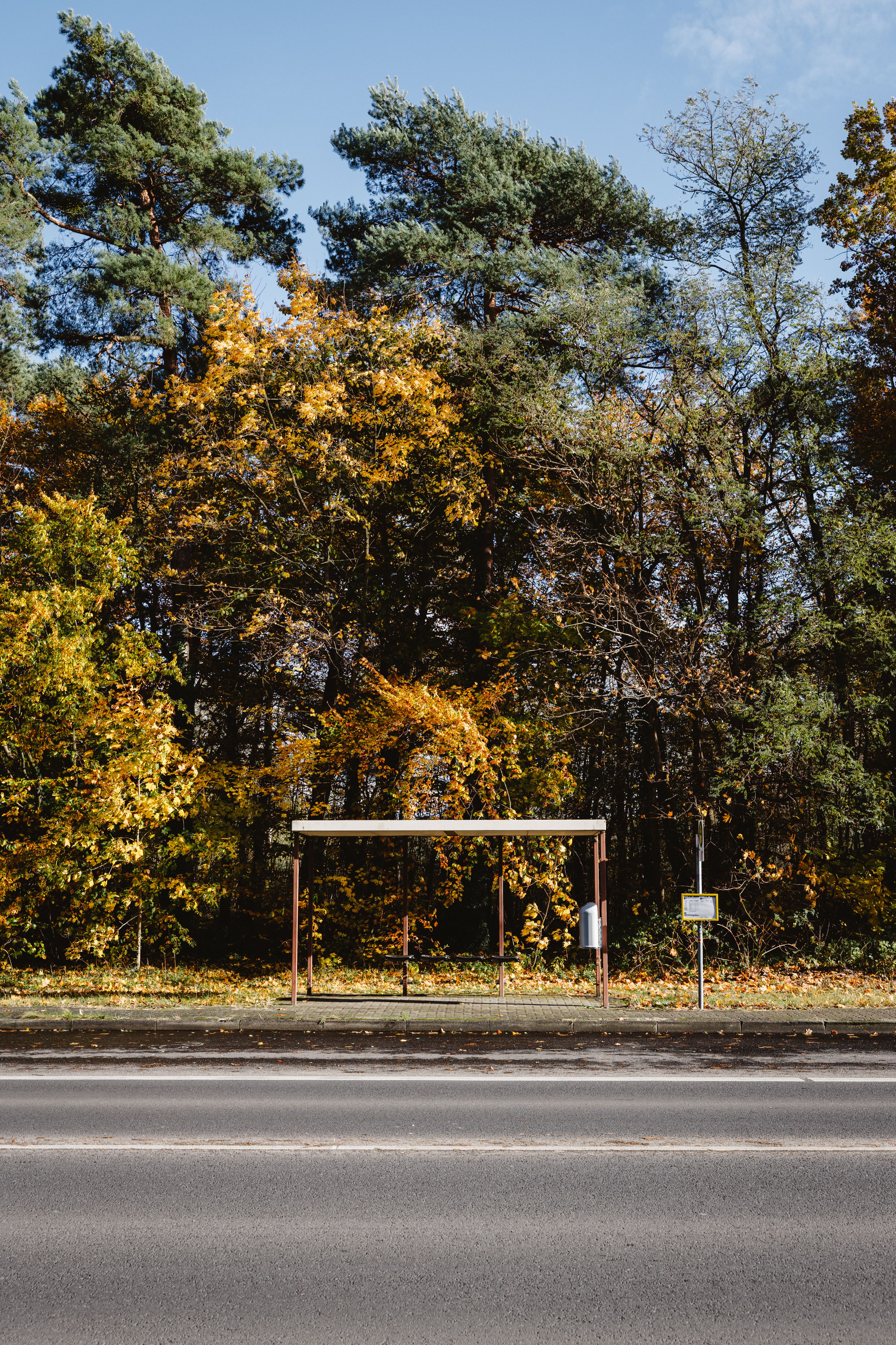 Bus Stop in the Middle of Nowhere · Free Stock Photo