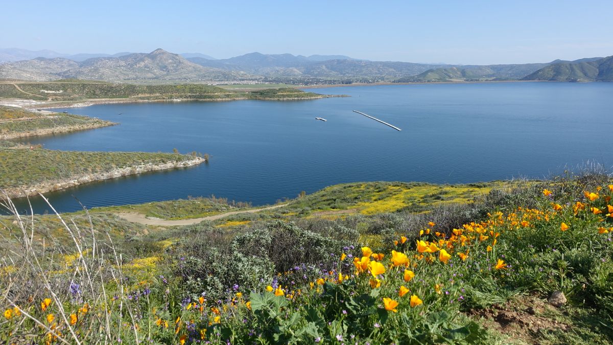 Holiday Giveaways in Chula Vista, CA: Updated 2026 List for Local Winners