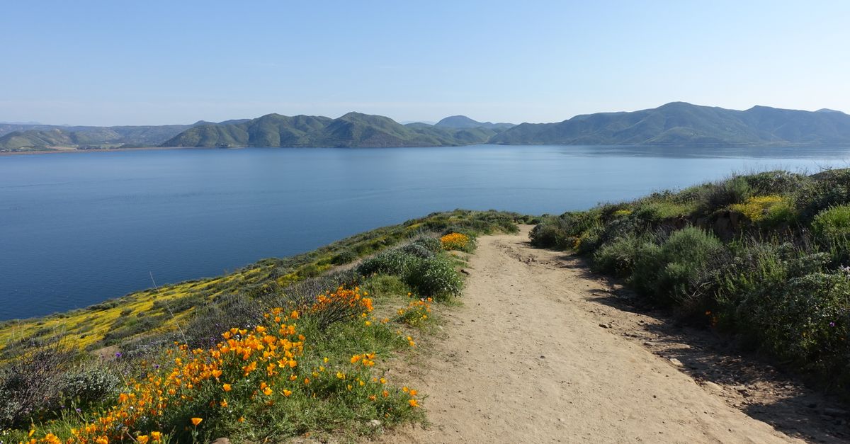 Explore a picturesque lakeside trail adorned with vibrant wildflowers in spring.