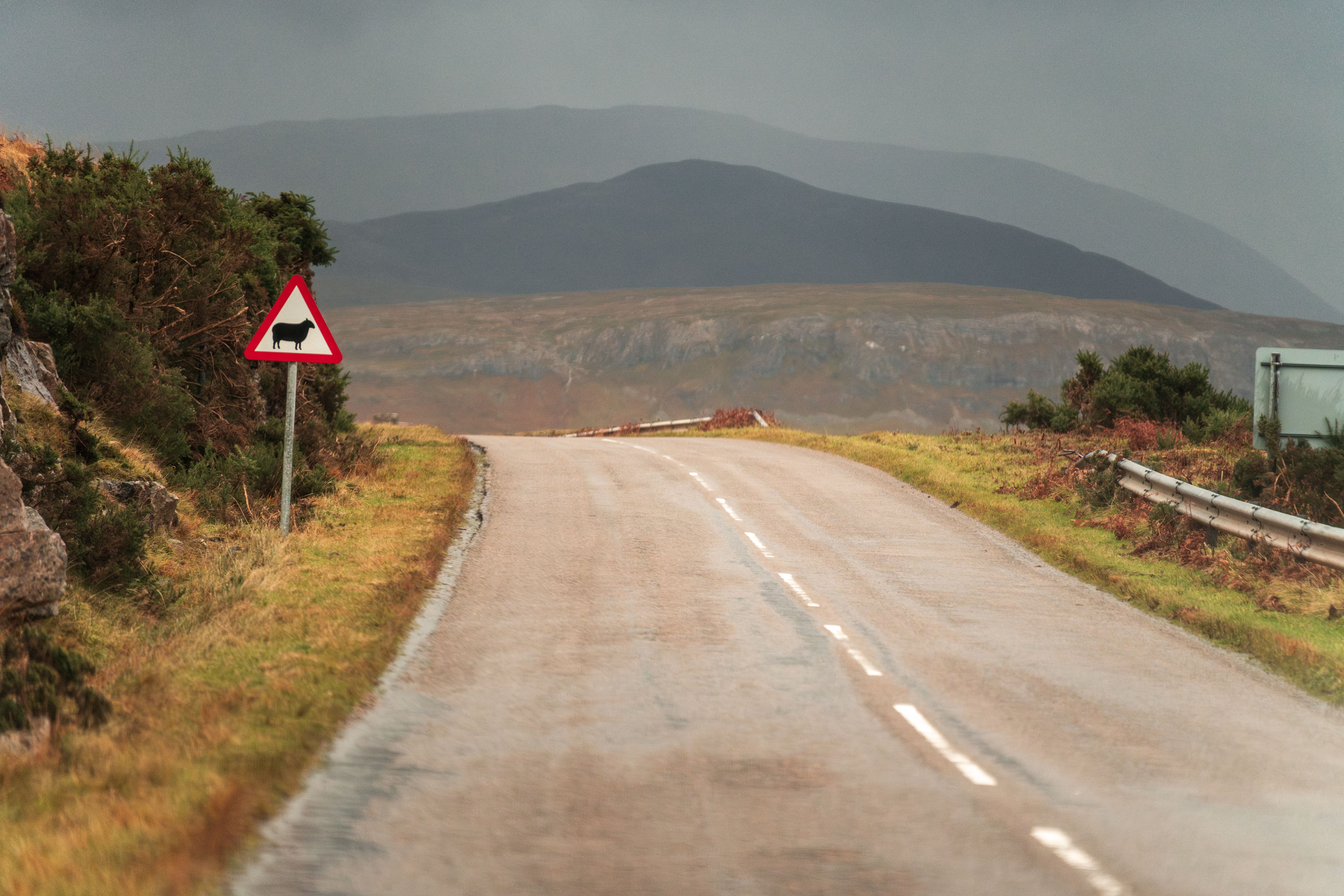 A quiet rural road with a sheep caution sign set against a hilly backdrop suggesting serene countryside travel.