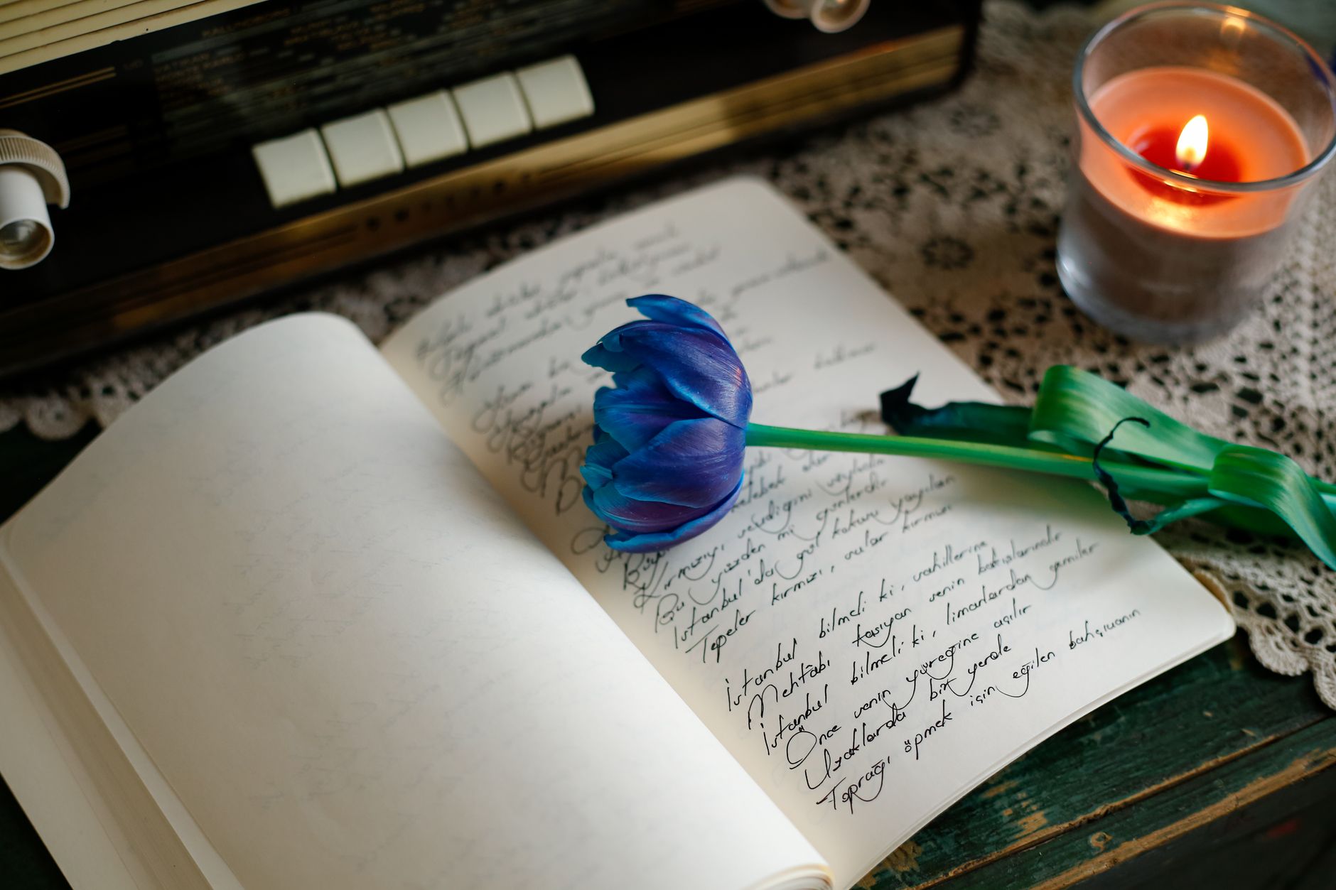 A calming scene with a blue tulip, handwritten journal, and candle flame on a lace-covered table.