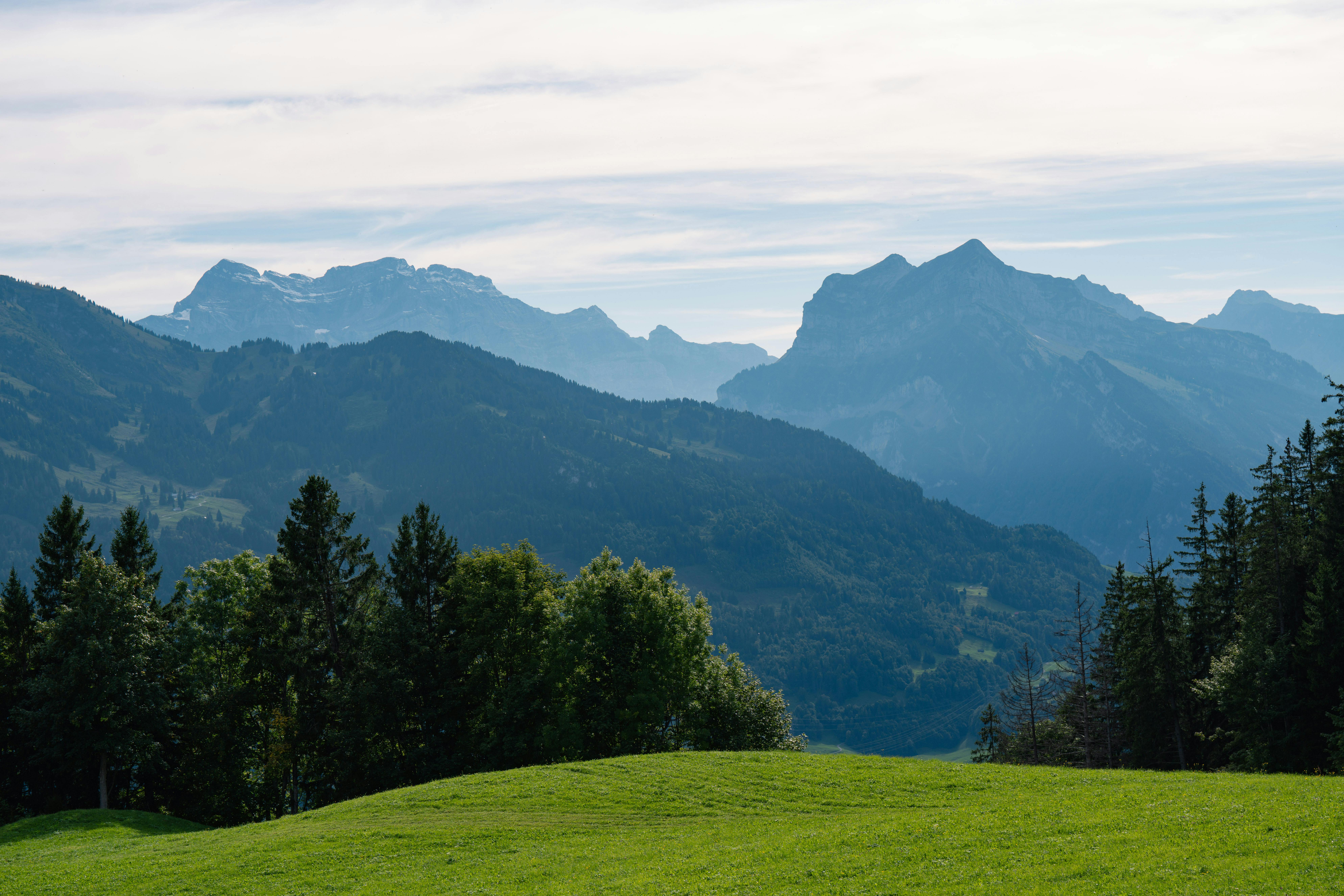 Breathtaking Mountain Landscape with Forest View · Free Stock Photo