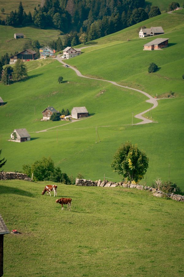 Alpine hillside farmsteads — photo by Sergio Zhukov on Pexels