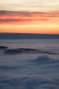 A scenic sunrise painting the sky above a misty forest landscape, creating a serene atmosphere.