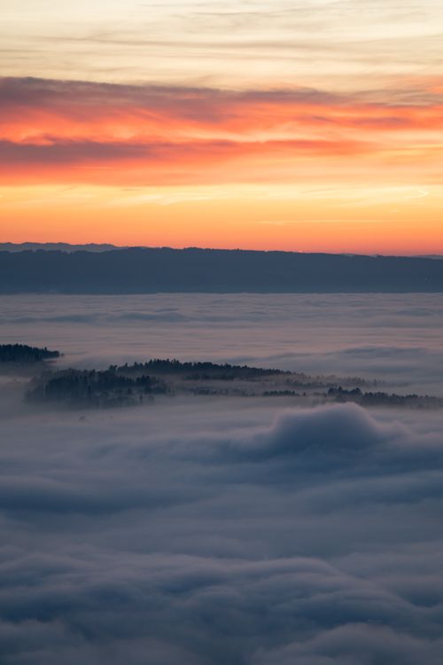 Free A scenic sunrise painting the sky above a misty forest landscape, creating a serene atmosphere. Stock Photo