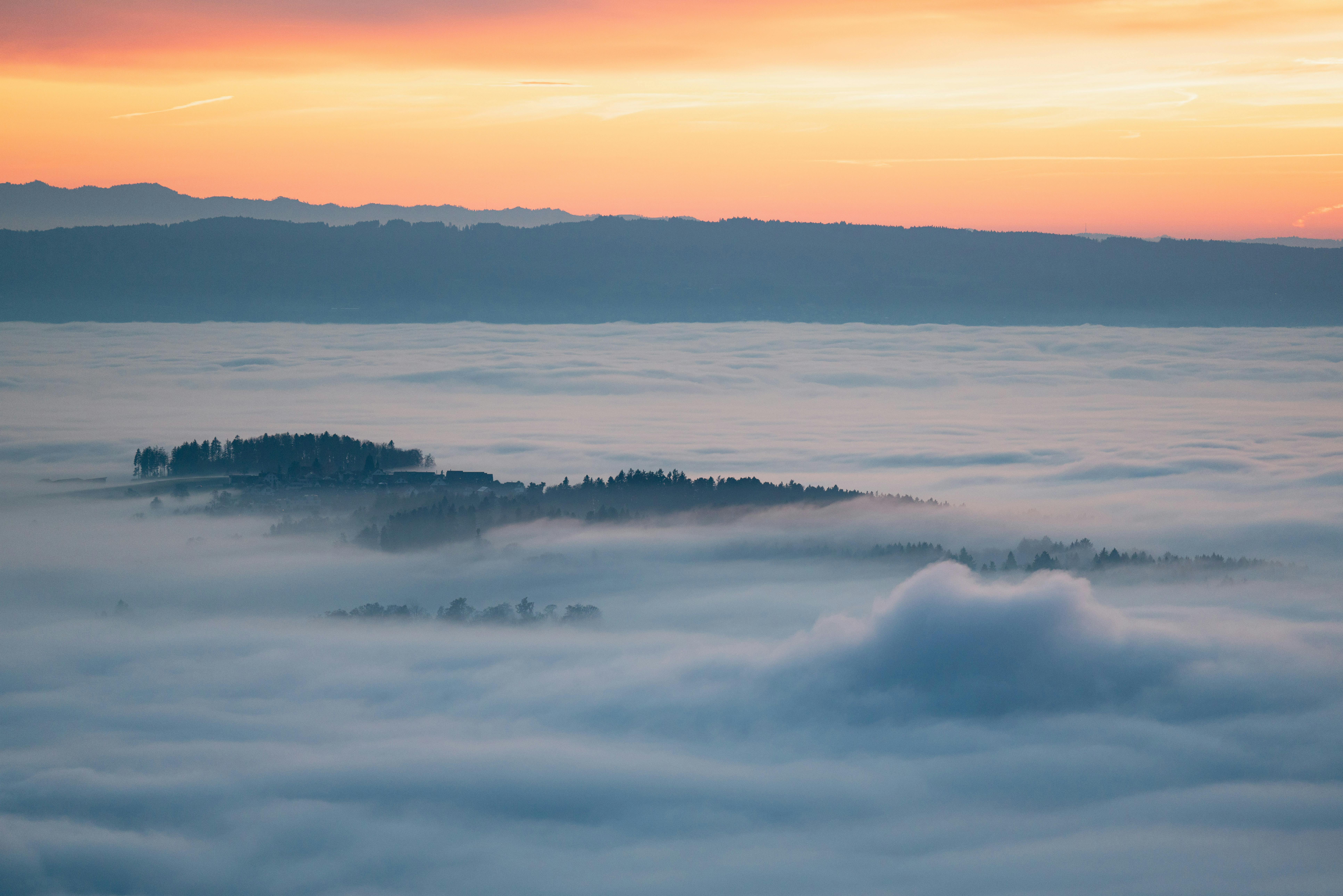 Unlocking the Secrets of Exclusive Hidden Policy Benefits