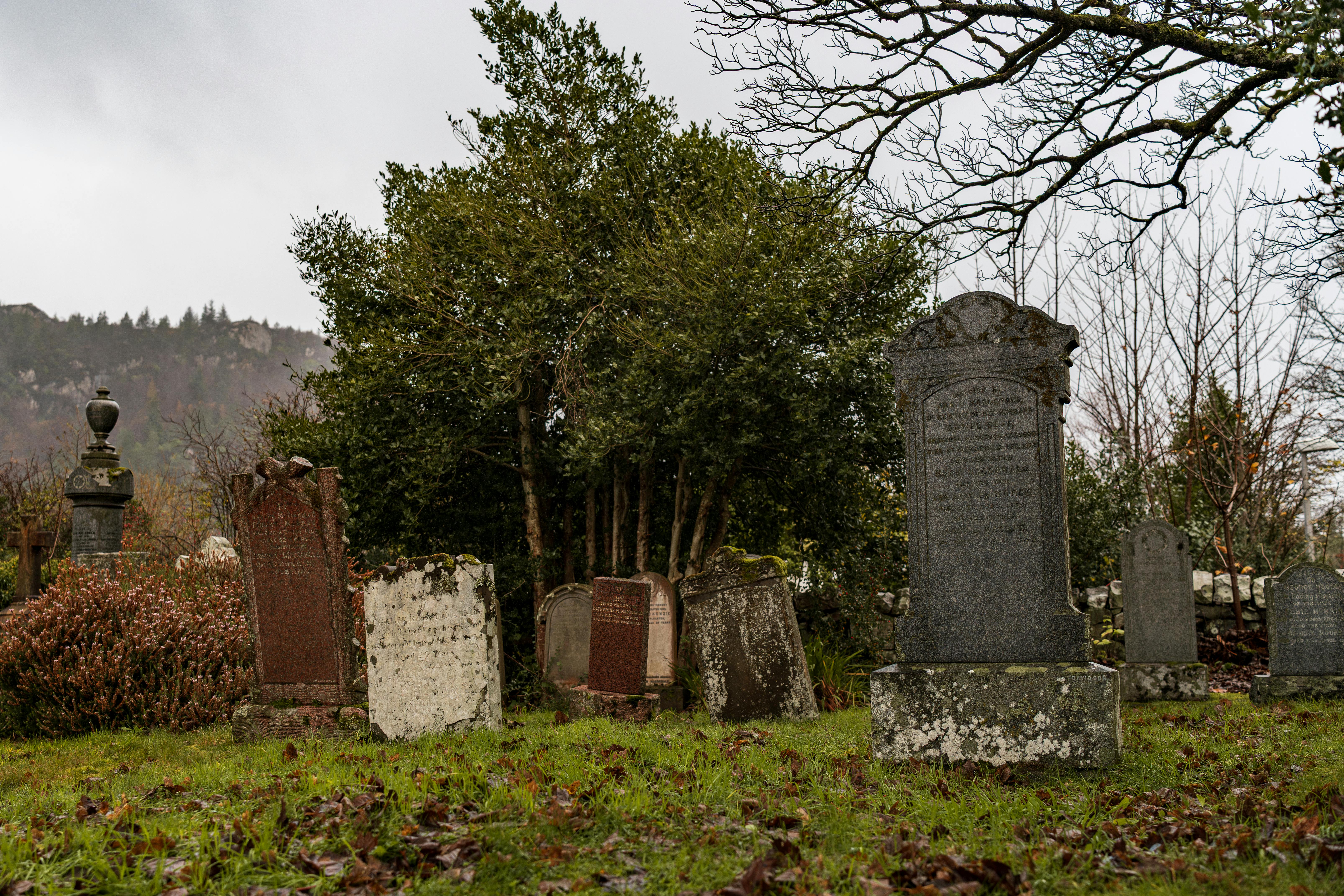 鄭麗文深情追思白色恐怖政治受難者，呼籲歷史正義