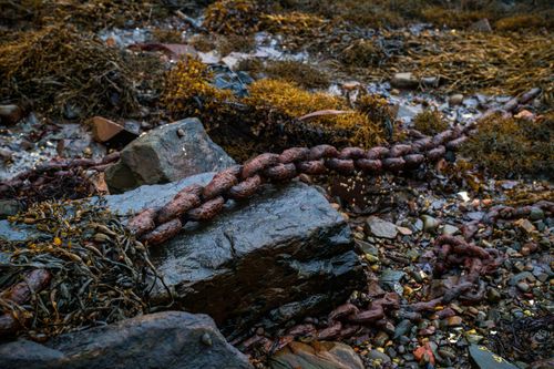 Free A rusty chain lies among rocks and seaweed on a coastal shoreline, evoking age and nature. Stock Photo