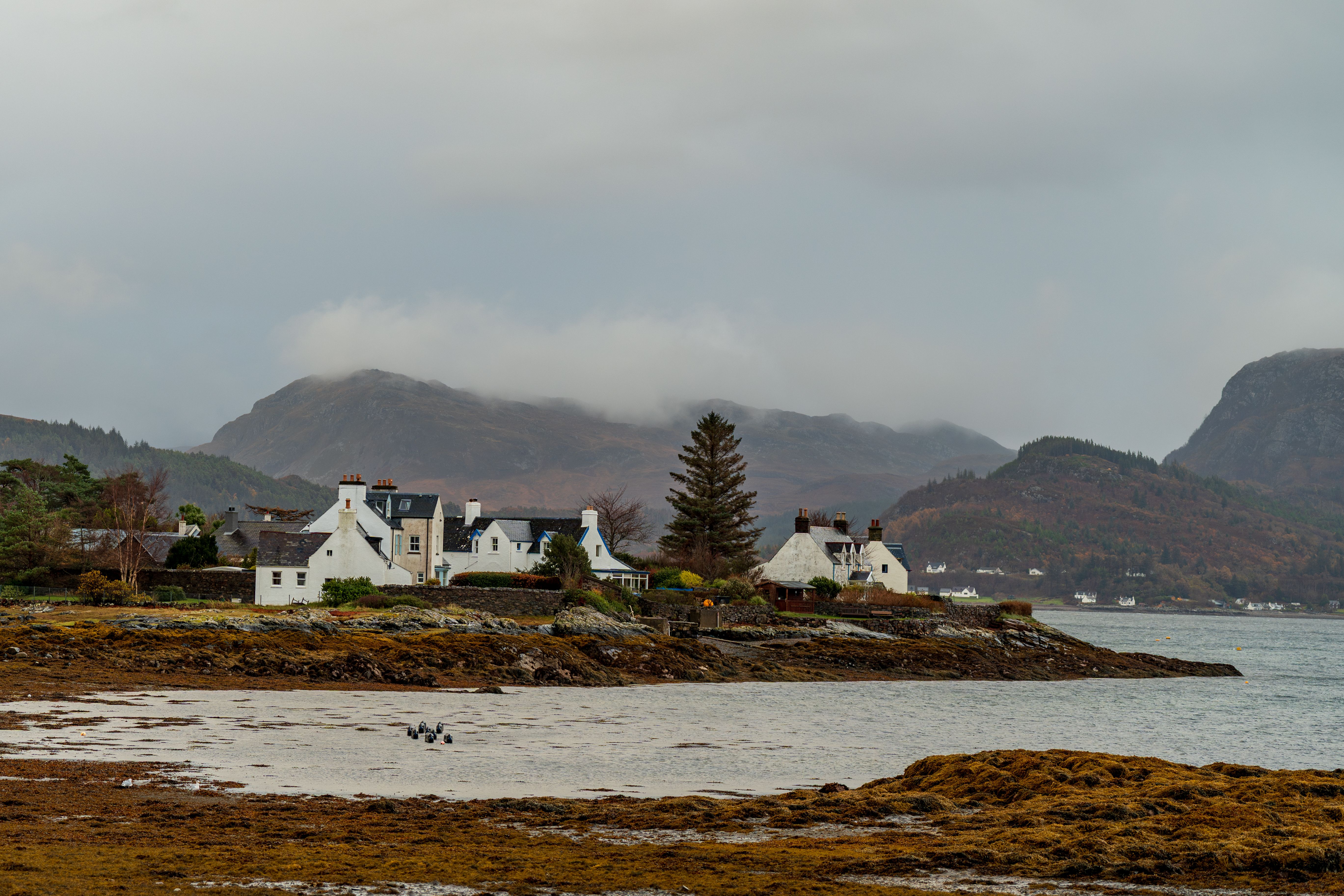 Charming Coastal Village in Scottish Highlands · Free Stock Photo