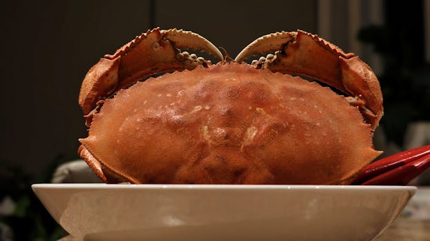 Gourmet presentation of a cooked crab in a white dish, perfect for seafood lovers.