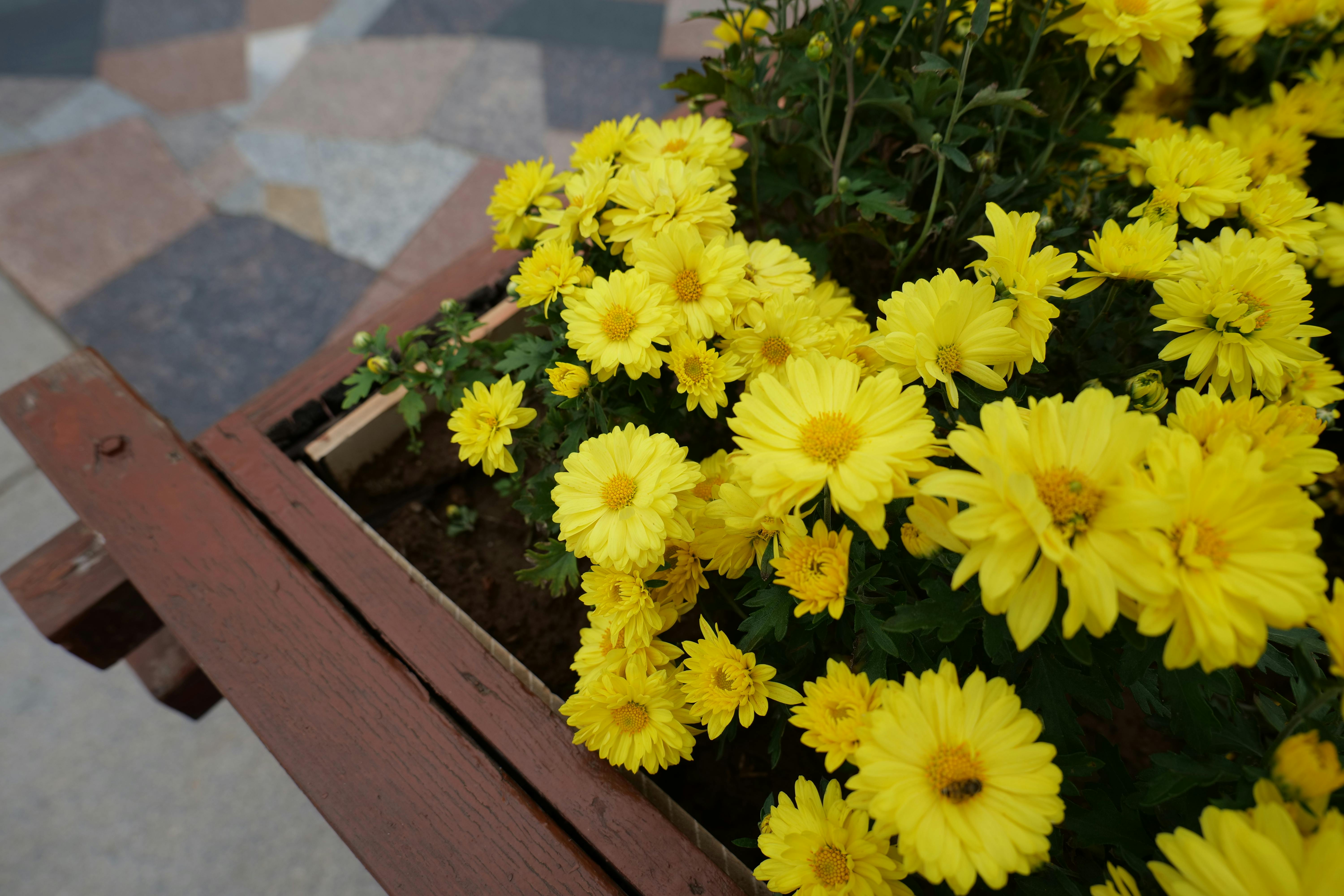 Urban Gardening Trends to Transform Your City Space