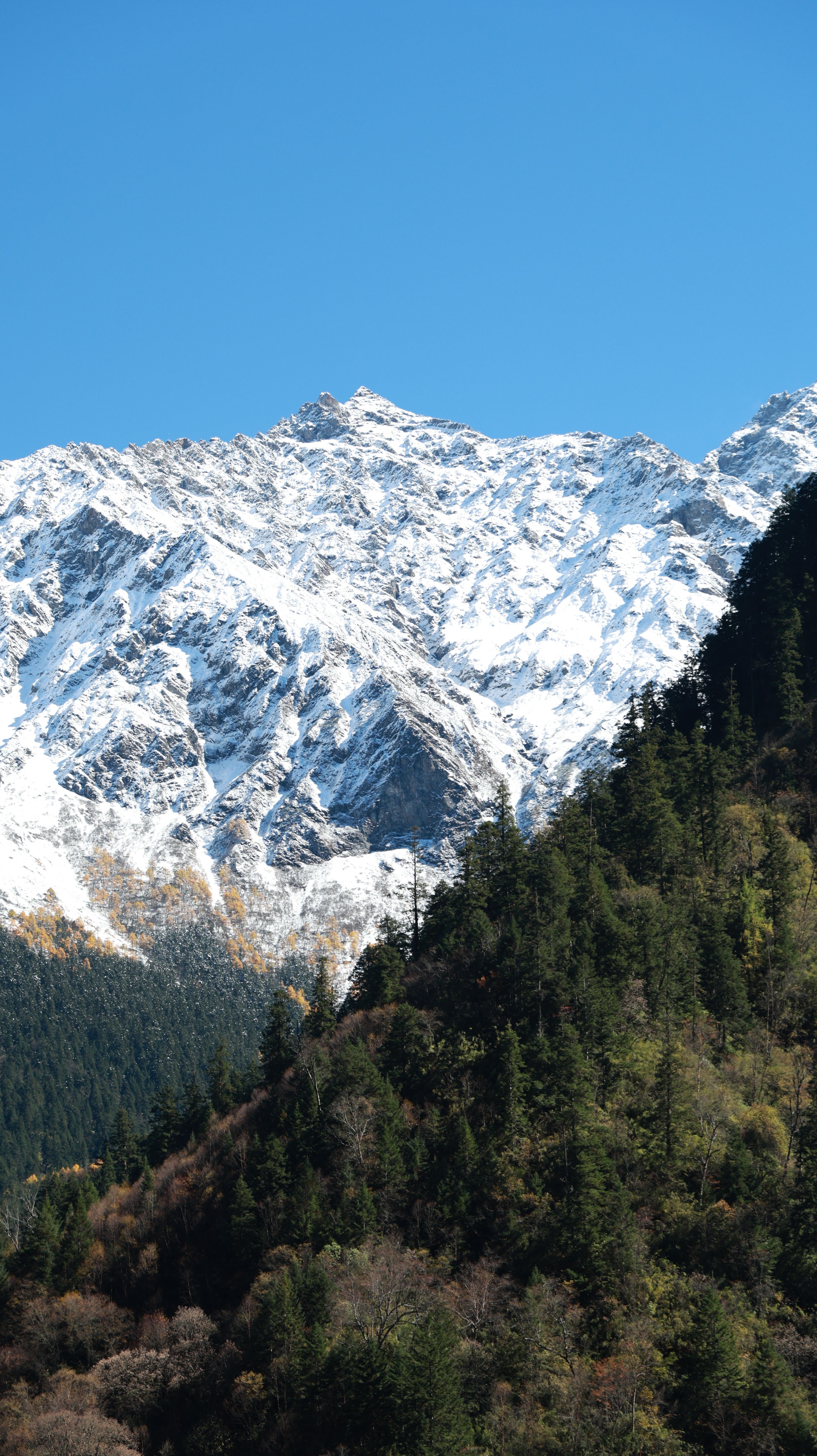 Majestic snow-covered mountain scene with lush green forest under clear blue sky.