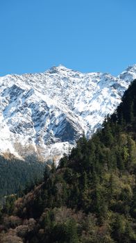 Majestic snow-covered mountain scene with lush green forest under clear blue sky.