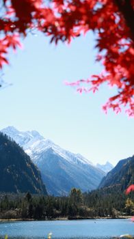 A breathtaking view of snow-capped mountains with vibrant red leaves framing the scene.